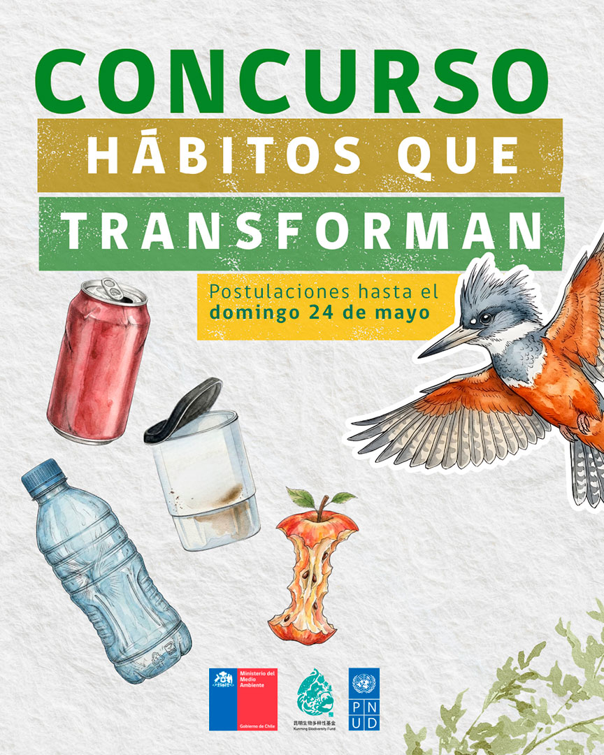 ilustracion concurso