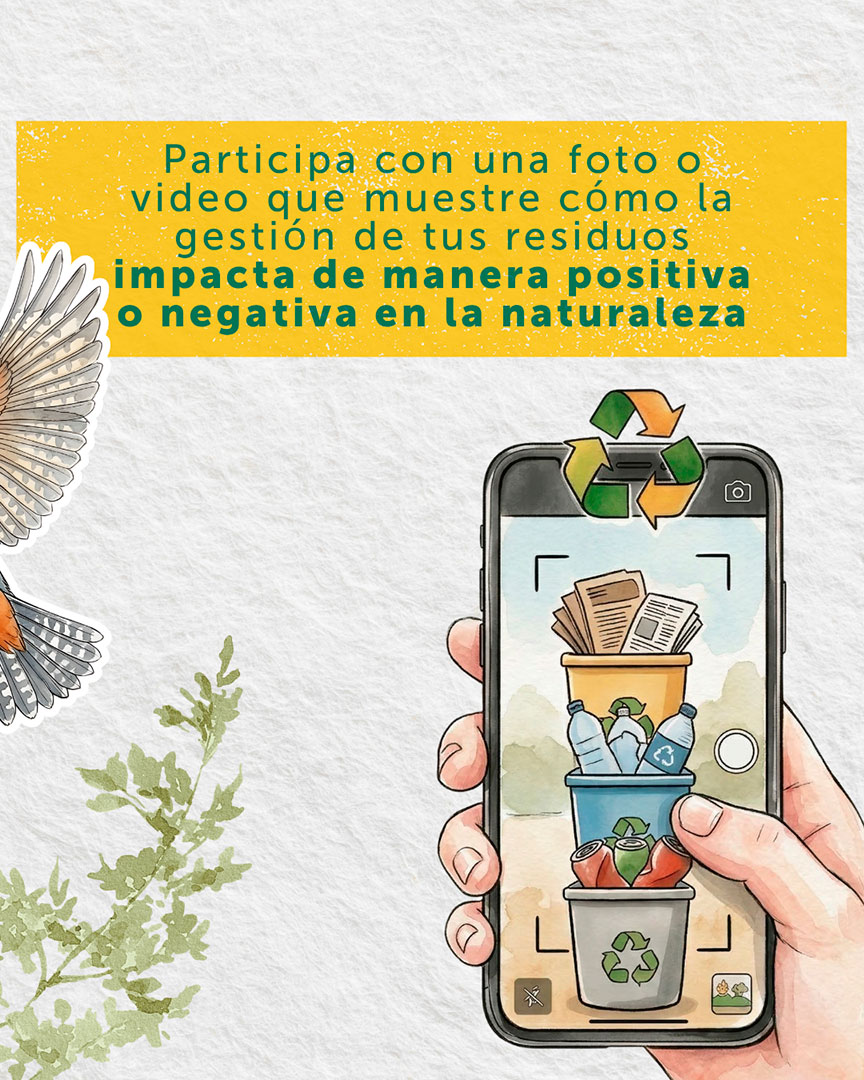 ilustracion concurso