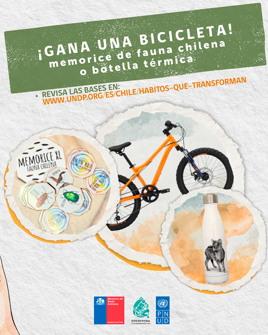ilustracion concurso