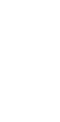 logo PNUD
